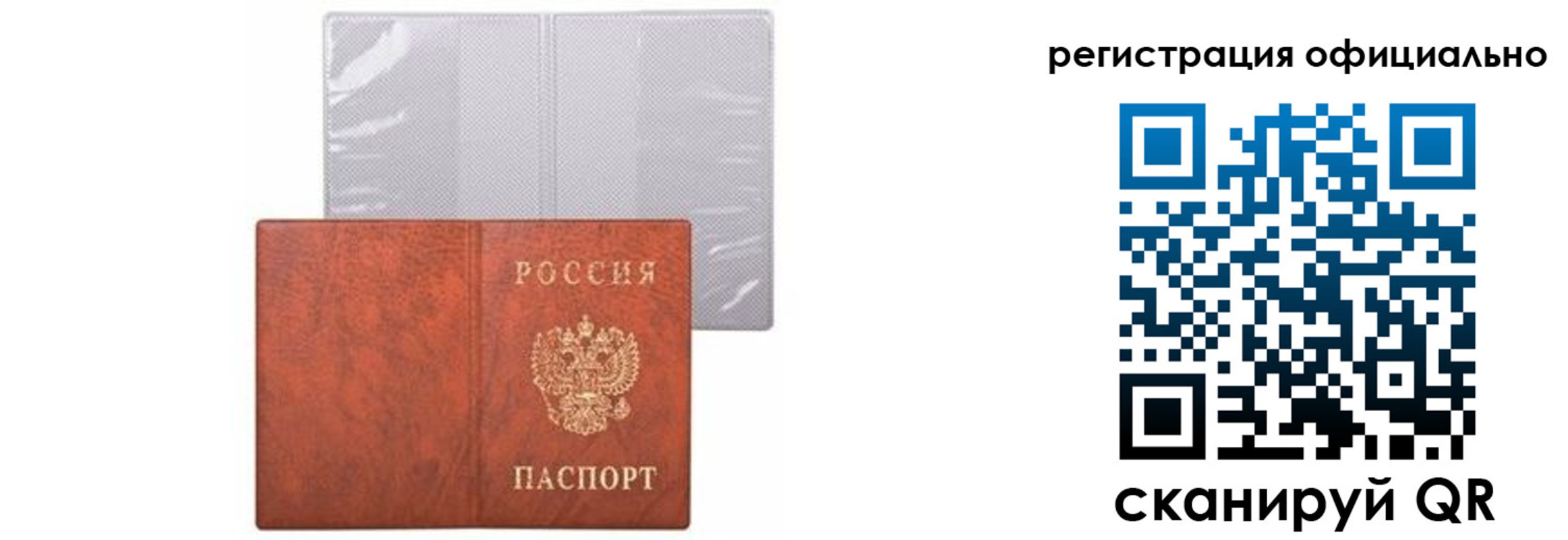 временная регистрация в Курске