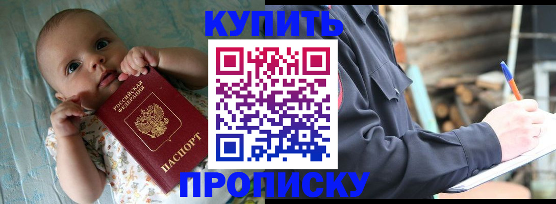 прописка поиск в Курске